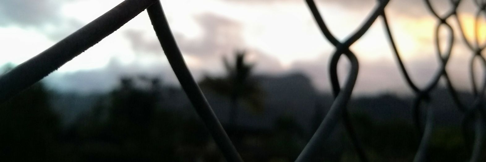 Ricardo Lasso 🇮🇱🇺🇦 banner