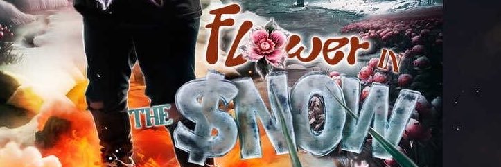dflowflores's profile banner image