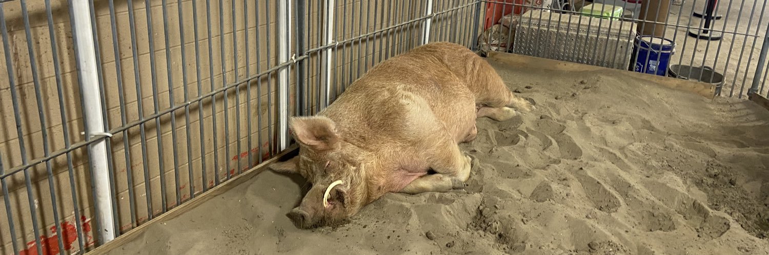 Mets Fan = Bad Person banner