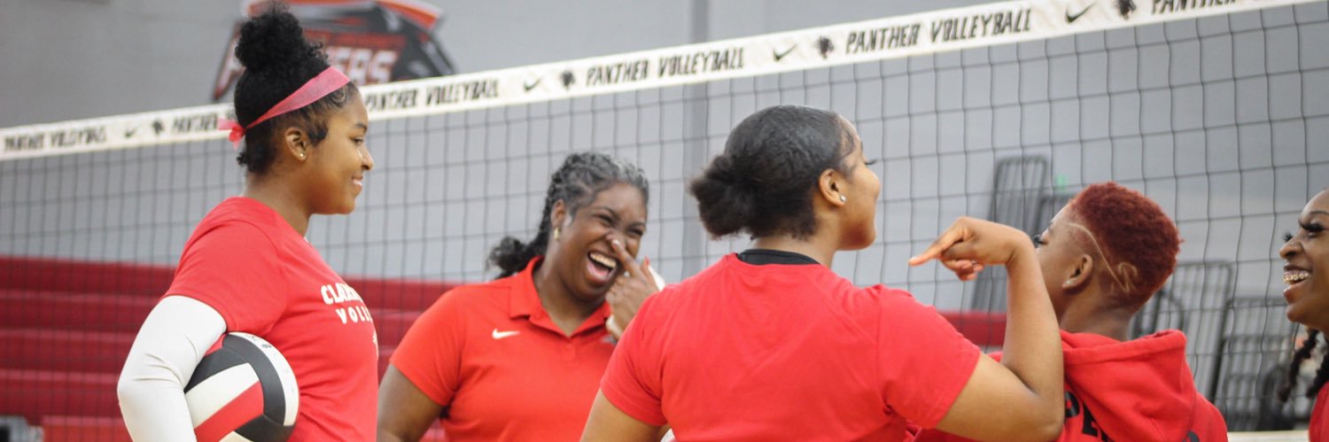 Ashley Johnson banner