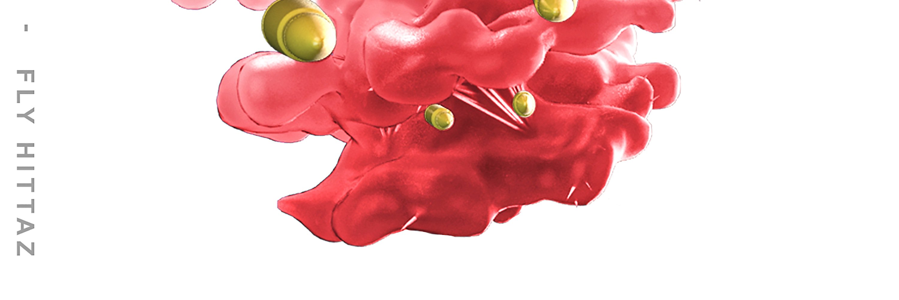 FIASCOEBARS's profile banner image