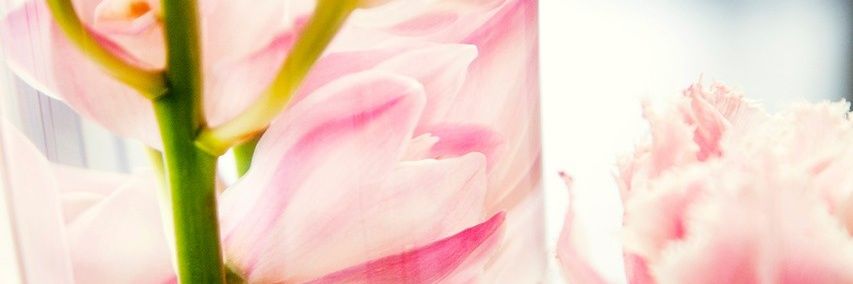 AnnieUrSmith's profile banner image