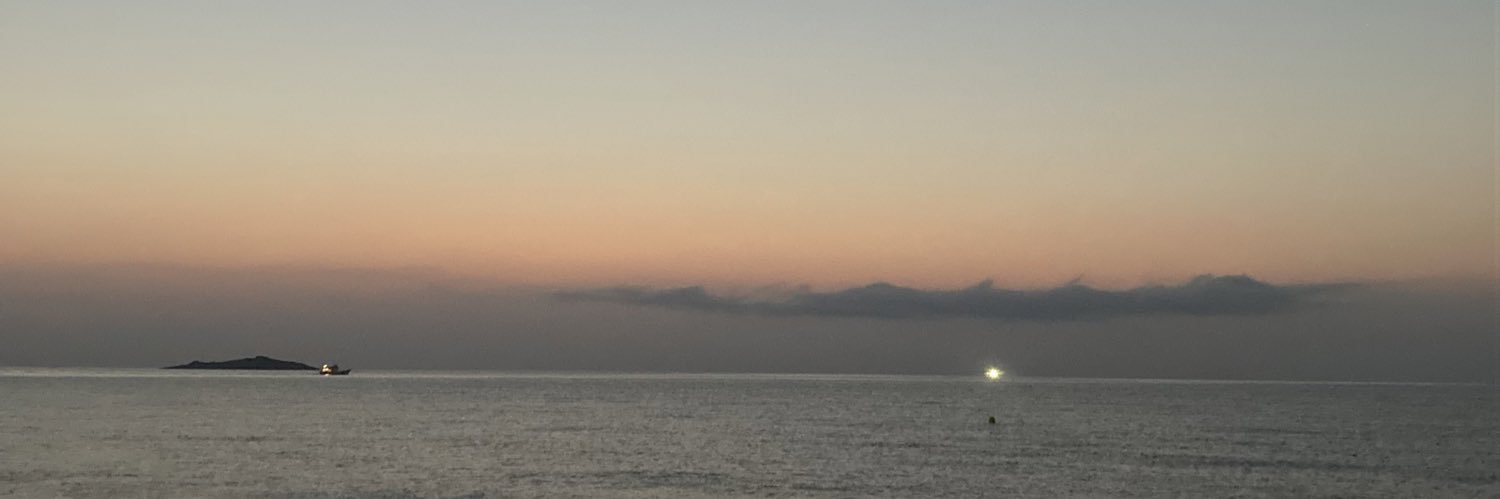 lesbea banner