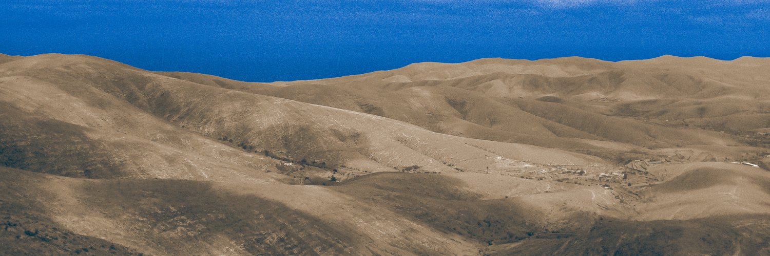 agata pyzik banner