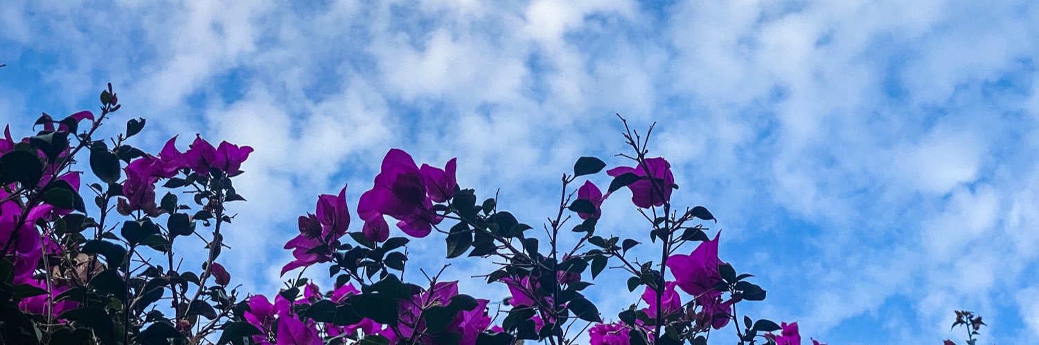 FuegoInocuo's profile banner image