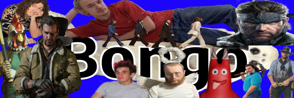 bongo banner