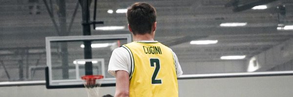 CuginiVinnie Profile Banner