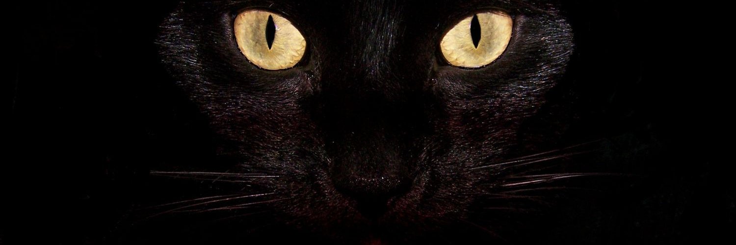 EkenEmr's profile banner image