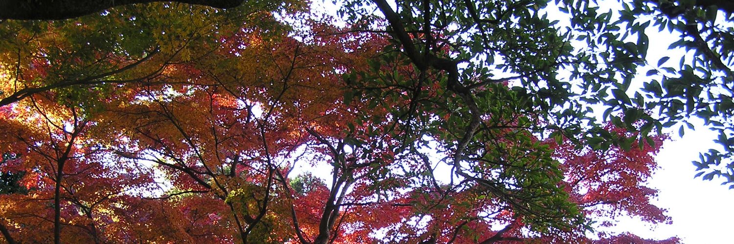 yamatorider's profile banner image