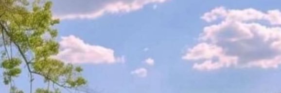 no0or22121's profile banner image