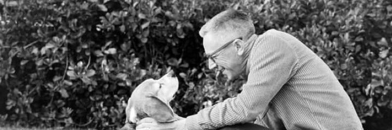 Snoopy 1’ 3” IQ 83 banner