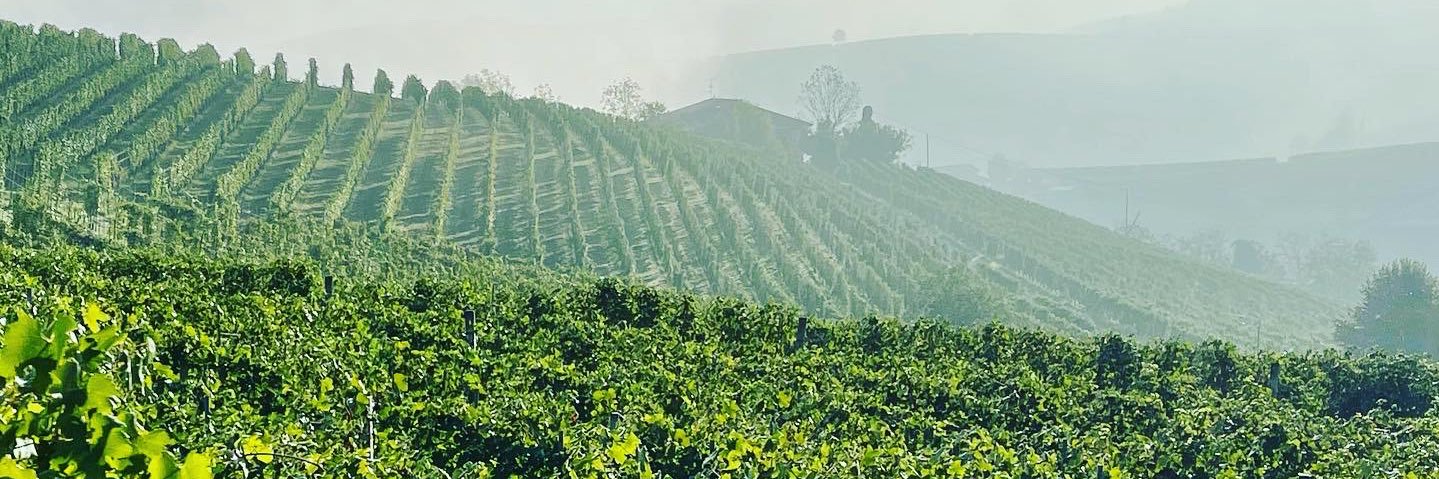 Vinotasting banner