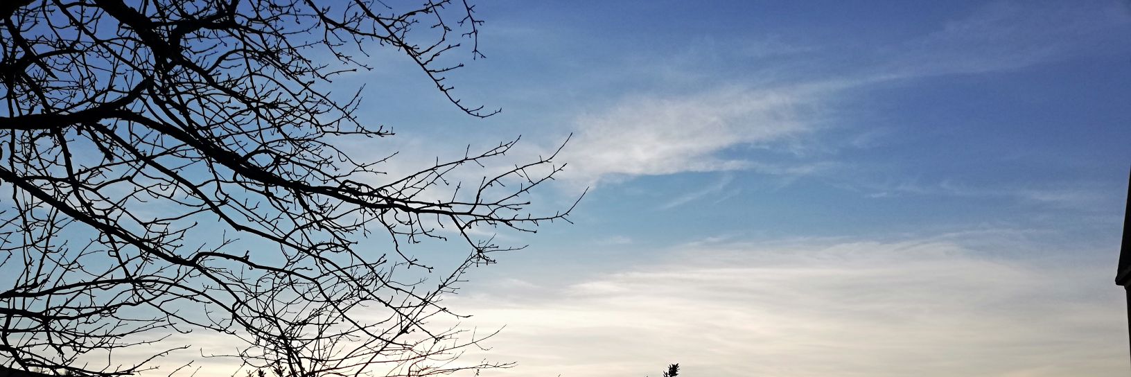 SenkurtGl's profile banner image