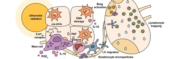 RA_Ireland Profile Banner