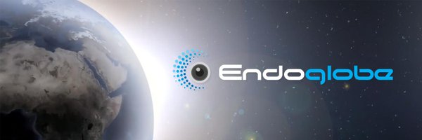 Endoglobe Profile Banner