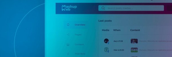 Mashup Web banner