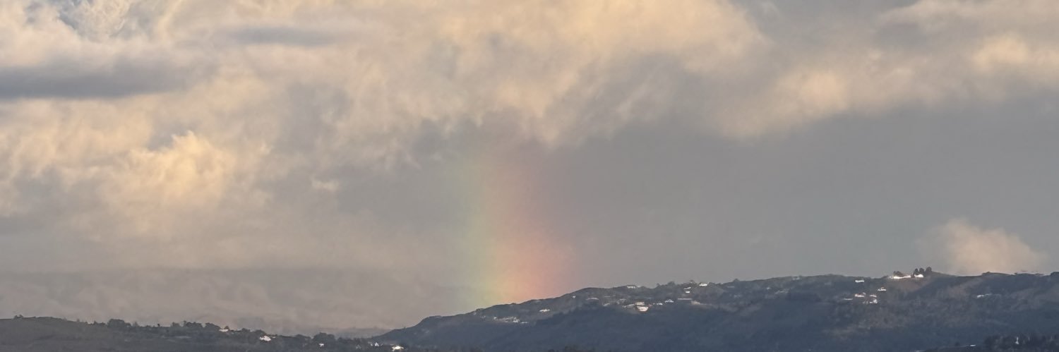 Kristina Werner banner