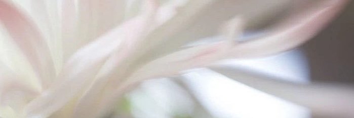 ❤︎ banner