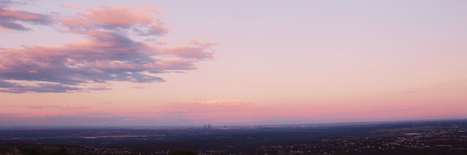 Irene banner
