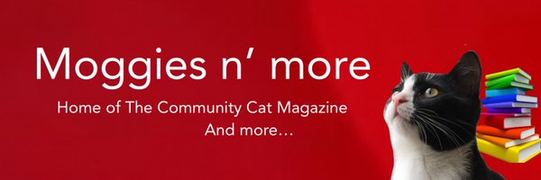 Community Cat Magazine Profile Banner