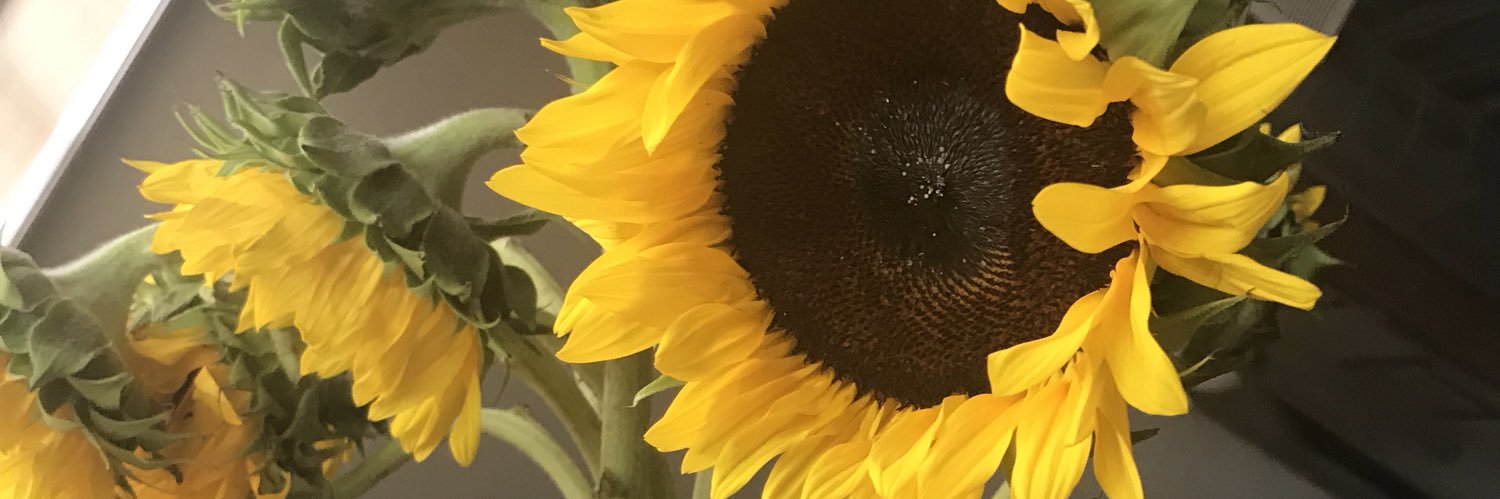 Money_NOillumin's profile banner image