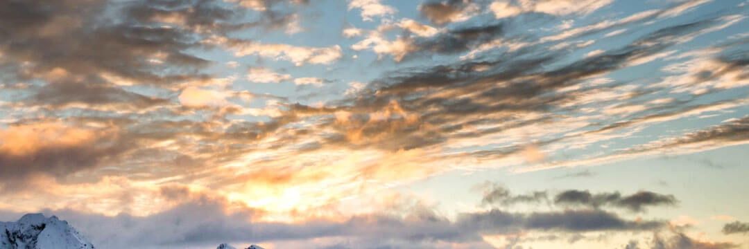 Erika_LorenaM's profile banner image
