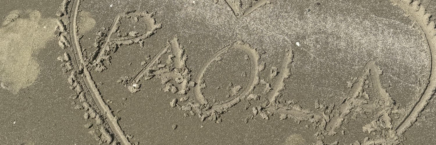 pao banner