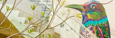 HERDO banner