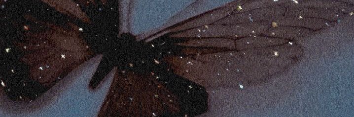 akjca6's profile banner image