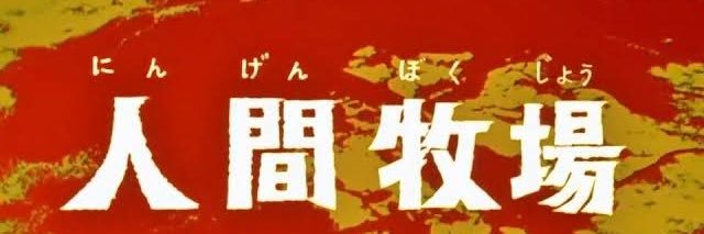 🪅かなお🪅's banner