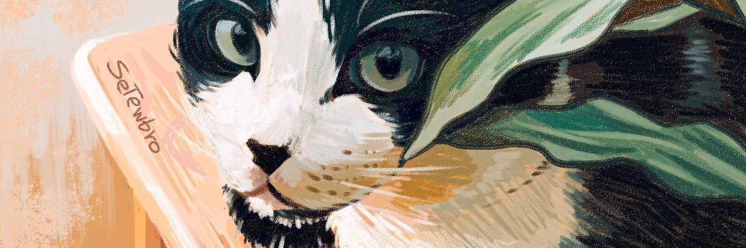 setewbro's profile banner image