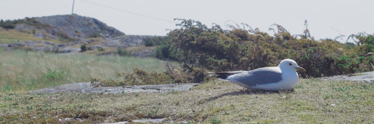 пані анрі 💥 banner