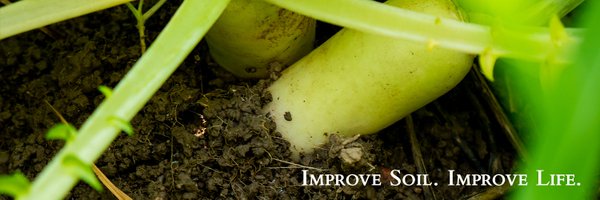 SoilsAtGuelph Profile Banner