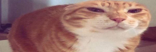 maxsanfps Profile Banner