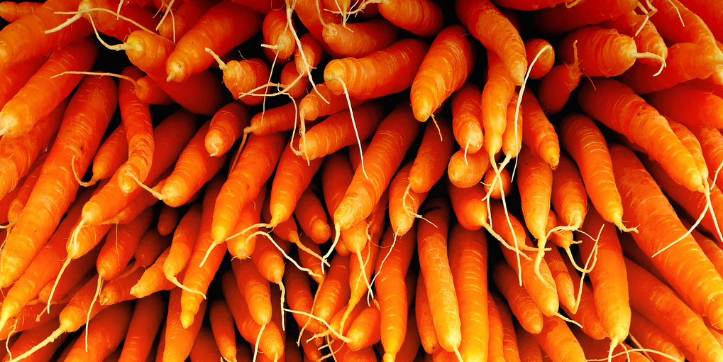 vegemontreal's profile banner image