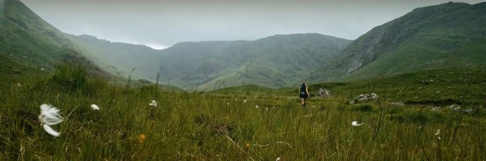 Mieke Vanmechelen banner