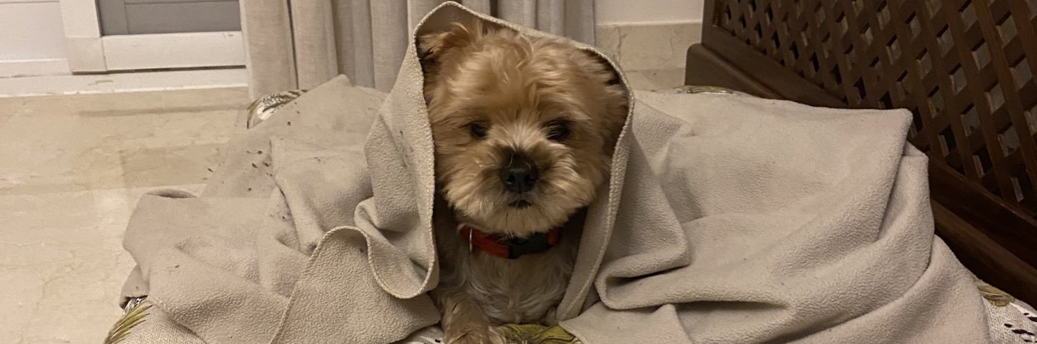 lidits1's profile banner image