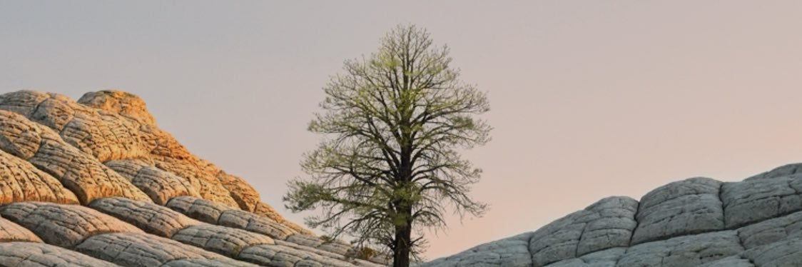 thedaniel20's profile banner image
