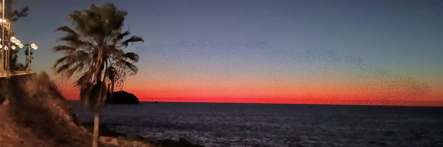 Iron_mxx's profile banner image