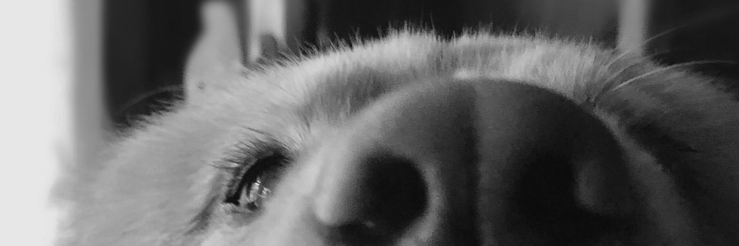 soolll01's profile banner image