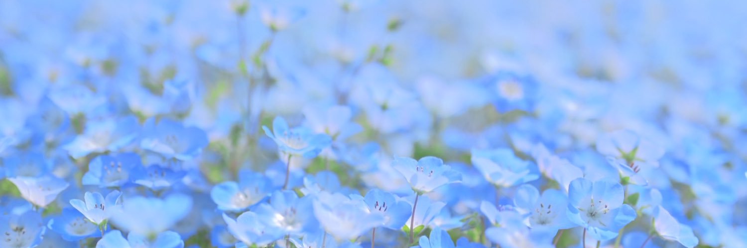 ぺ banner