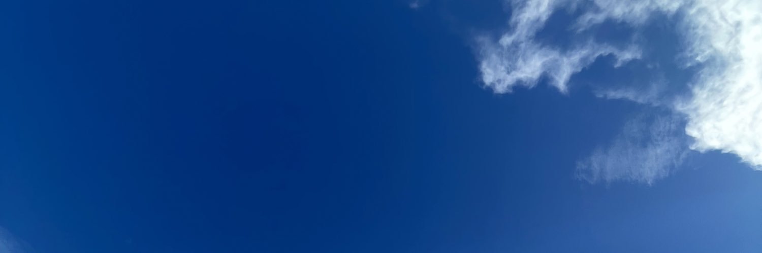Blaze banner