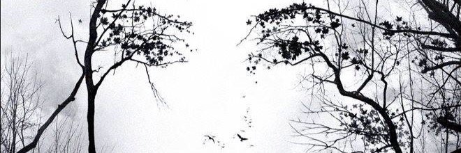 PatriciaCozza's profile banner image
