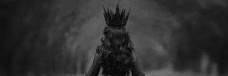 QuantumTree's profile banner image