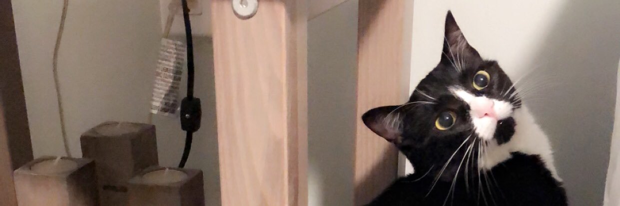 kieraburry1's profile banner image