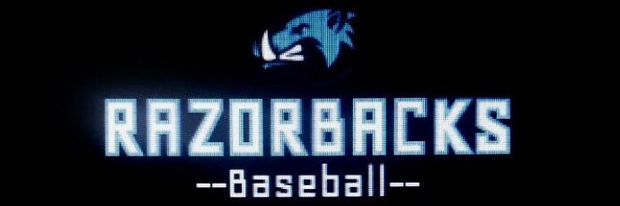 Razorback Baseball Scout Team banner