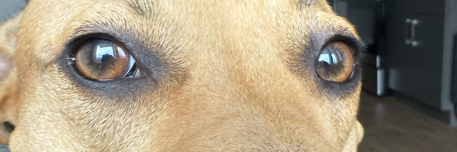 claud_monett's profile banner image