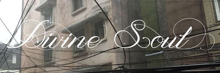 Donoo banner