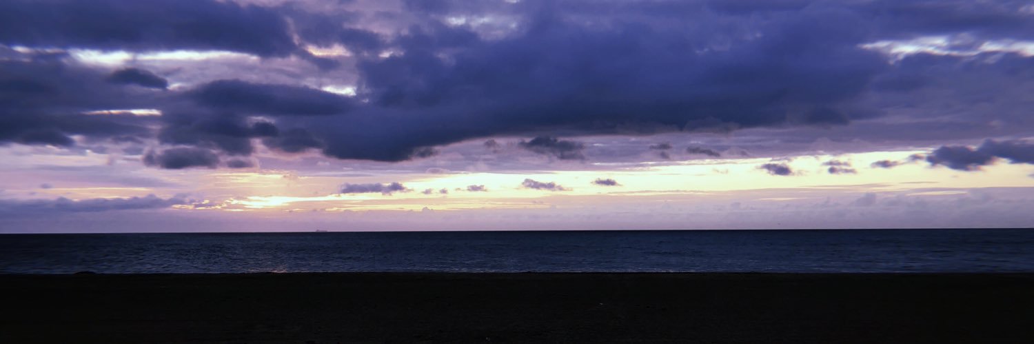 devynantolini24's profile banner image