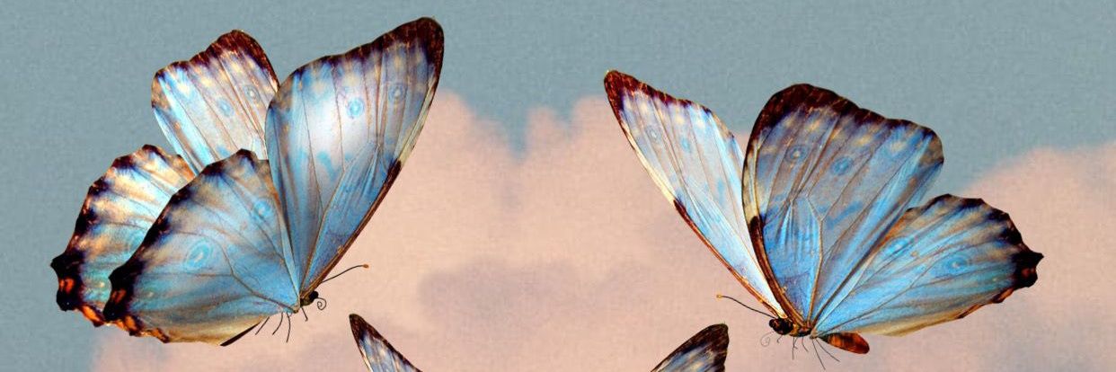 gimenaduce's profile banner image